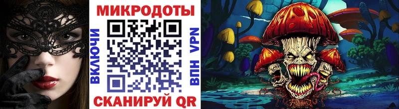 Псилоцибиновые грибы мицелий  Купить закладки  Ядрин 